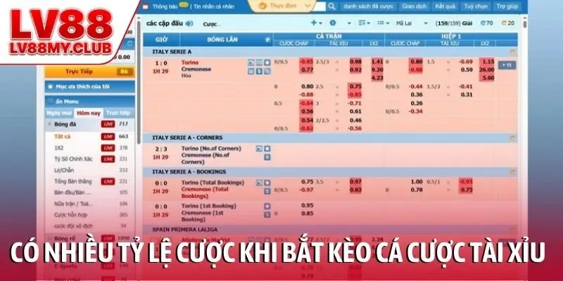 Có nhiều tỷ lệ cược khi bắt kèo cá cược tài xỉu bóng đá